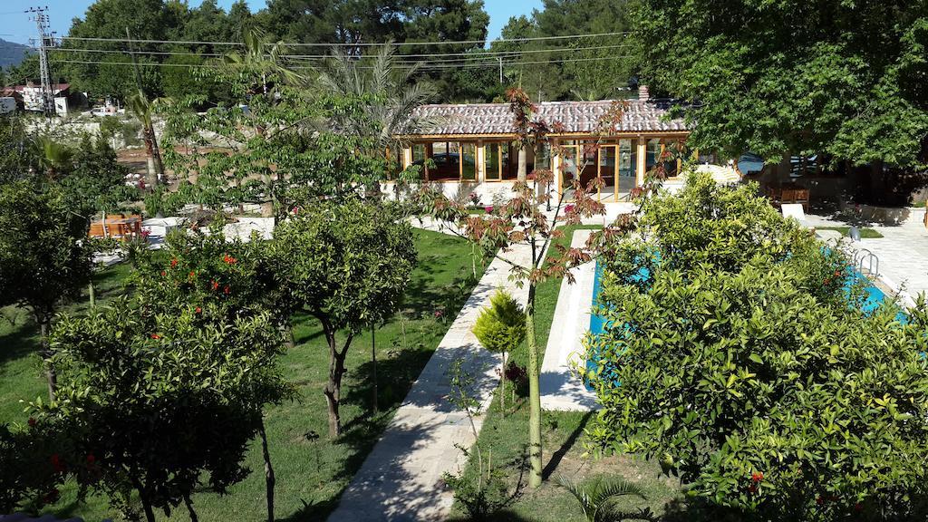 Sedir Palas Hotel Cirali Exterior photo